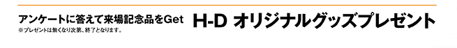 アンケートに答えて来場記念品をGet